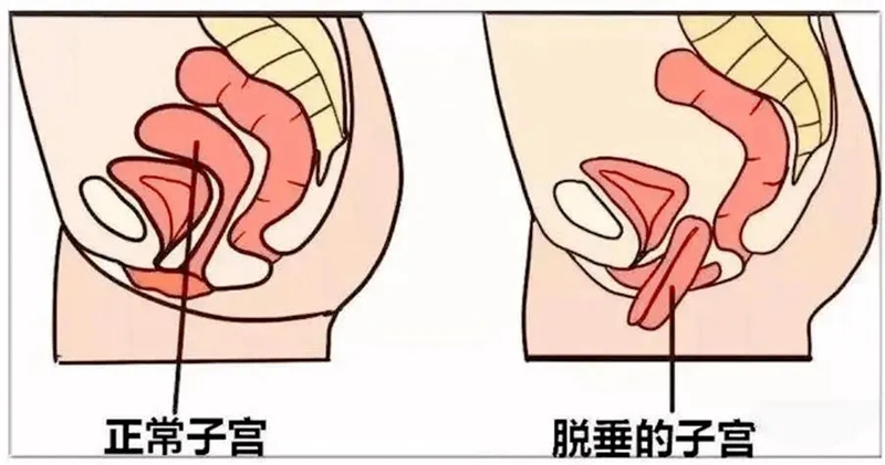 20260626妇科3.jpg 20260626妇科3.jpg