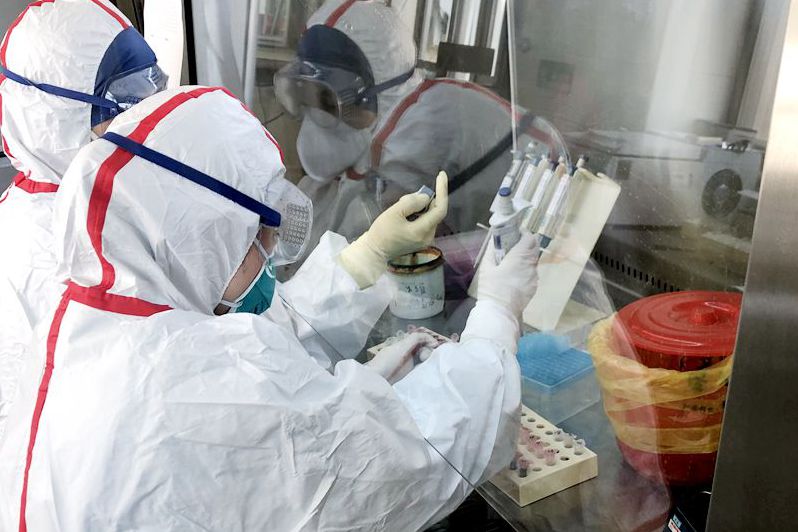 核酸检测3_副本.jpg 核酸检测3_副本.jpg