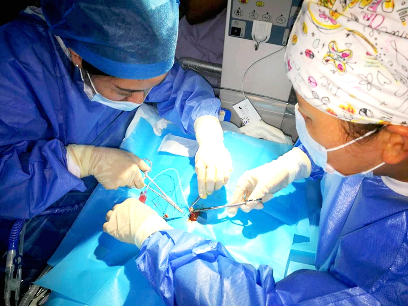 新生儿科脐静脉2.jpg 新生儿科脐静脉2.jpg