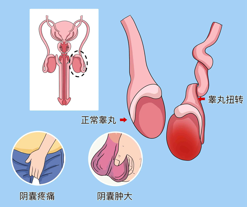 a78d0943729887f0d25c605ce754504e_41b02b0e346044bab8c0f9202335517d.png a78d0943729887f0d25c605ce754504e_41b02b0e346044bab8c0f9202335517d.png