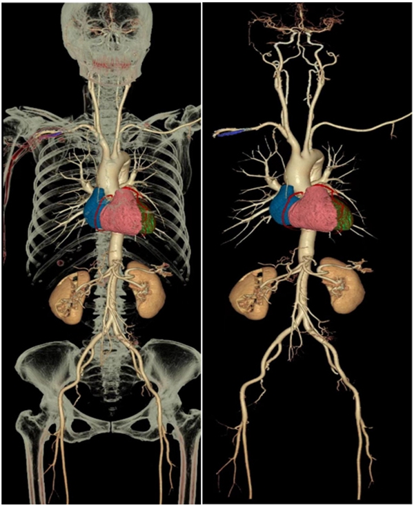 45487378.jpg 45487378.jpg