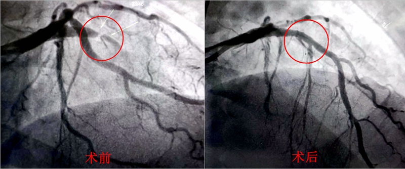 DSC01945_副本.jpg DSC01945_副本.jpg