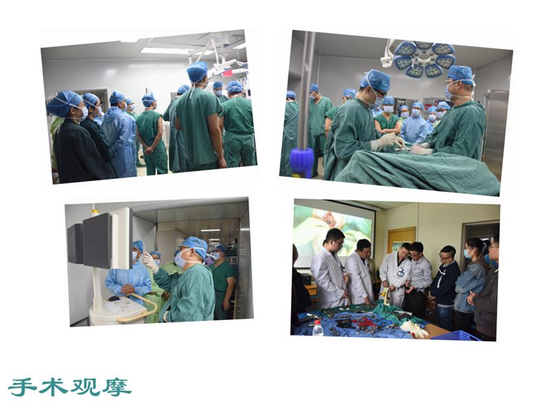 DSC_0767_副本2.jpg DSC_0767_副本2.jpg