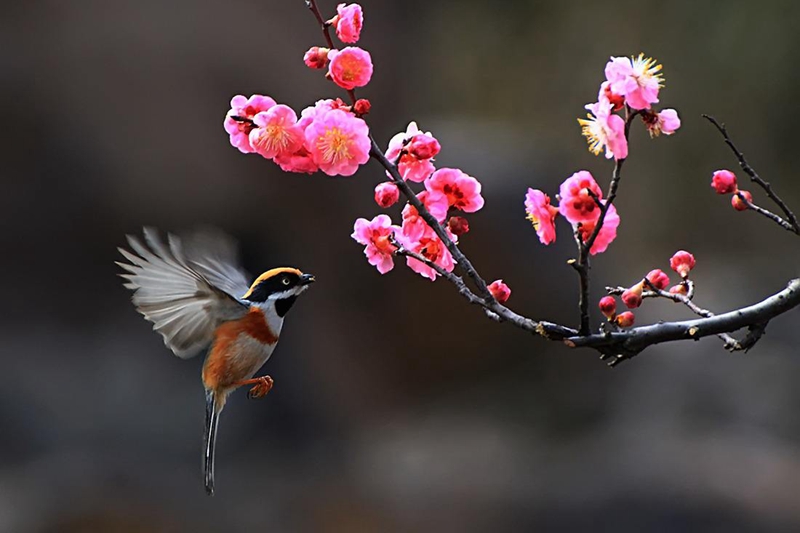 timg (5).jpg timg (5).jpg