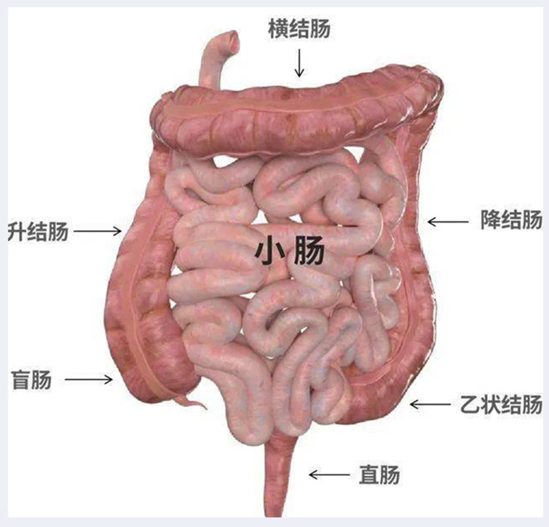 2df2e5498d724a1dad8daa59b0e93f1a_副本.jpg 2df2e5498d724a1dad8daa59b0e93f1a_副本.jpg