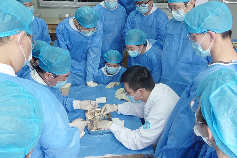 内外科 教学查房2.jpg