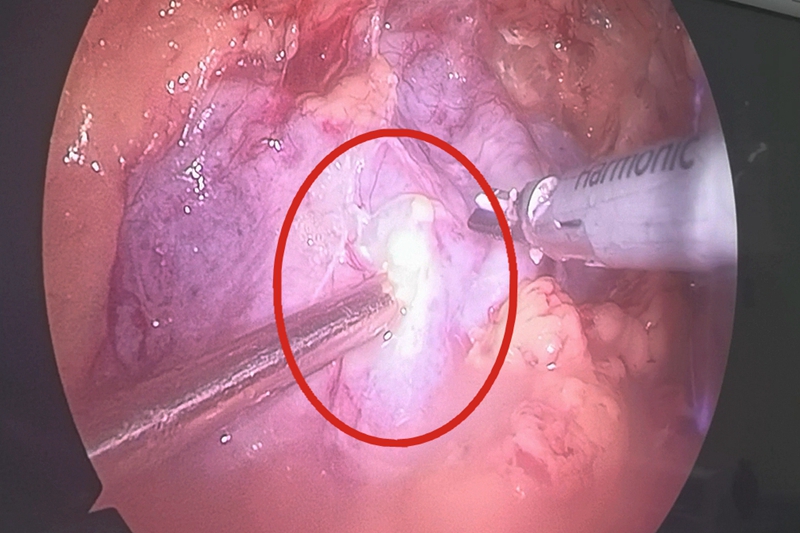 11111_副本_副本.jpg 11111_副本_副本.jpg