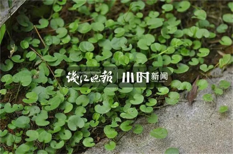 640.webp (2).jpg 640.webp (2).jpg