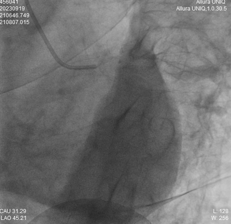 20230919 LM 001_副本.jpg