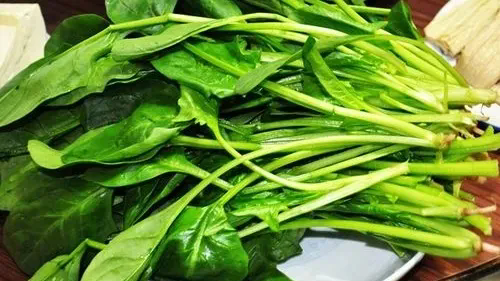 640_wx_fmt=other&from=appmsg&wxfrom=5&wx_lazy=1&wx_co=1&tp=webp.webp.png 640_wx_fmt=other&from=appmsg&wxfrom=5&wx_lazy=1&wx_co=1&tp=webp.webp.png