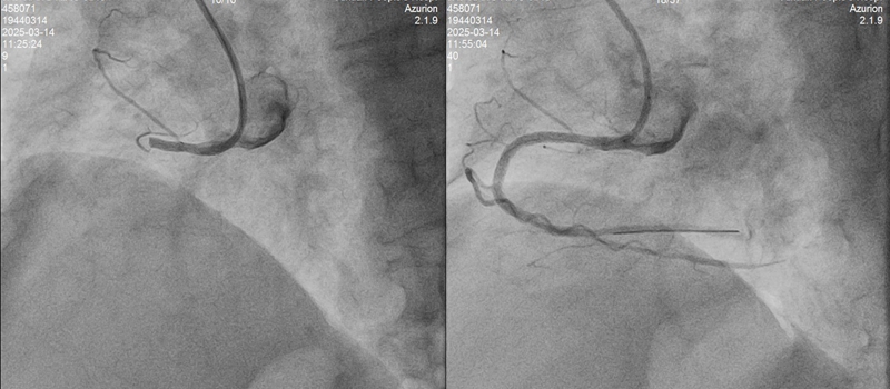 NeoImage_副本.jpg NeoImage_副本.jpg