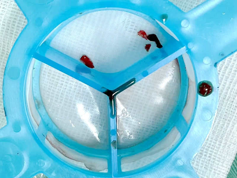 021d25dd709090939a206bf7dee894f.jpg 021d25dd709090939a206bf7dee894f.jpg