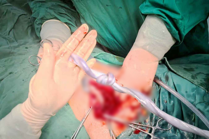 20250724 产科1.jpg