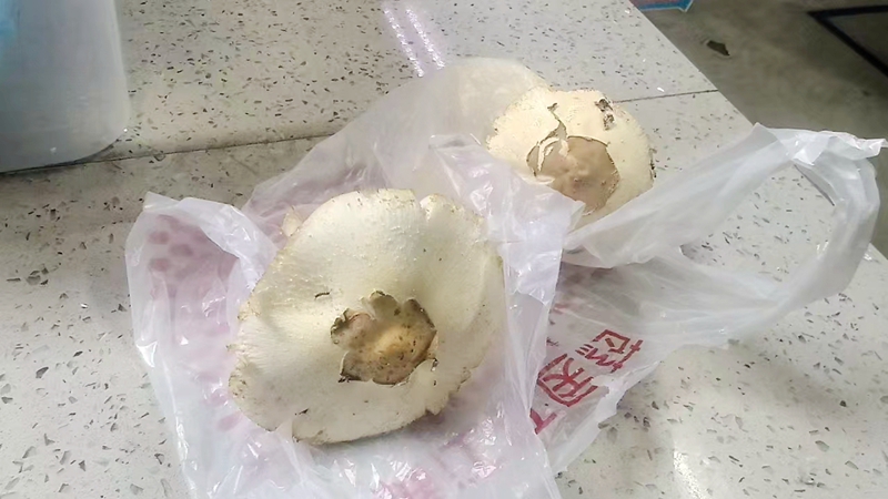 fa039c85abf40d153dad9c33ee51f8b.jpg fa039c85abf40d153dad9c33ee51f8b.jpg