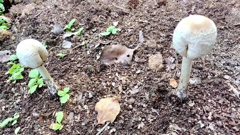 94141a3878fbb6c74b675006308c15b.jpg 94141a3878fbb6c74b675006308c15b.jpg