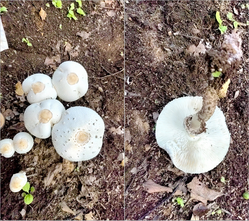 965fd186f5a1b3f0f2cbc7ac270bdbe_副本.jpg 965fd186f5a1b3f0f2cbc7ac270bdbe_副本.jpg