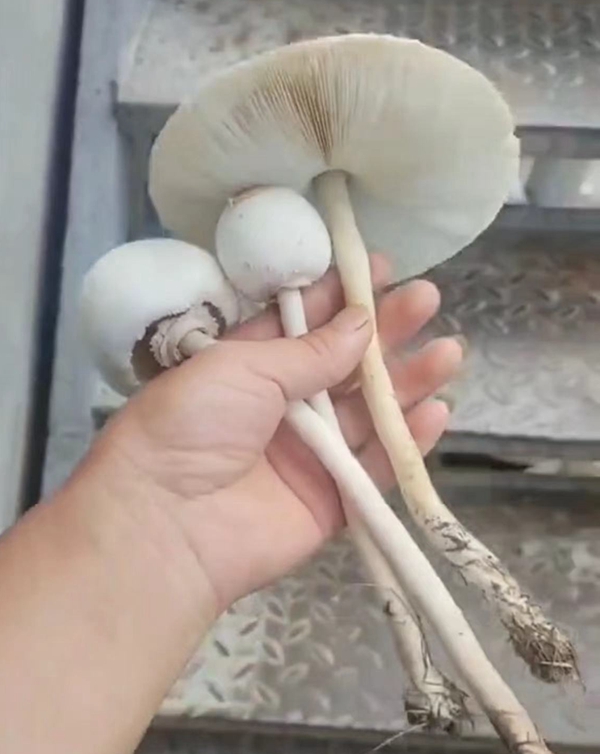 097b604935bc280e32316b8ca886c52.jpg 097b604935bc280e32316b8ca886c52.jpg