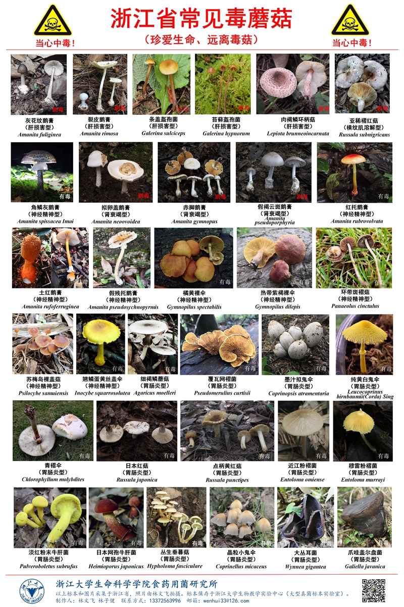 71361308f76c84a10f429cc87d97f609_01.jpg 71361308f76c84a10f429cc87d97f609_01.jpg