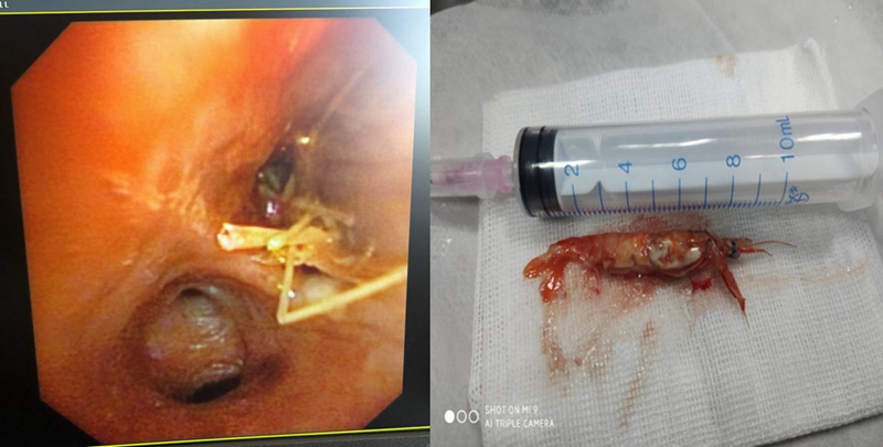 NeoImage_副本.jpg NeoImage_副本.jpg