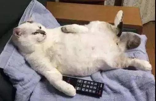 微信图片_20200103155902.jpg 微信图片_20200103155902.jpg