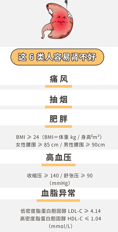 肾不好 2.jpg 肾不好 2.jpg