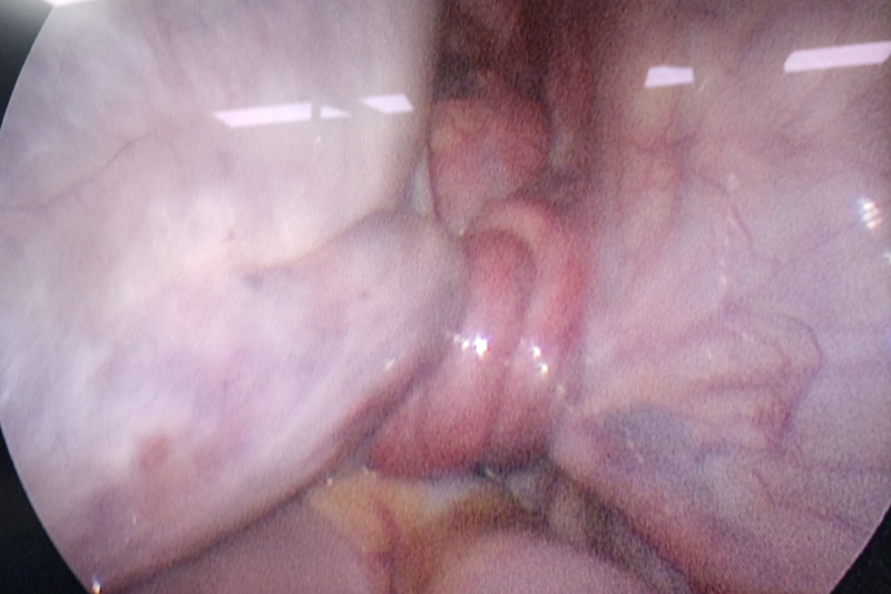 680a8eeefd5f83a55300341128e72ca9.jpg 680a8eeefd5f83a55300341128e72ca9.jpg