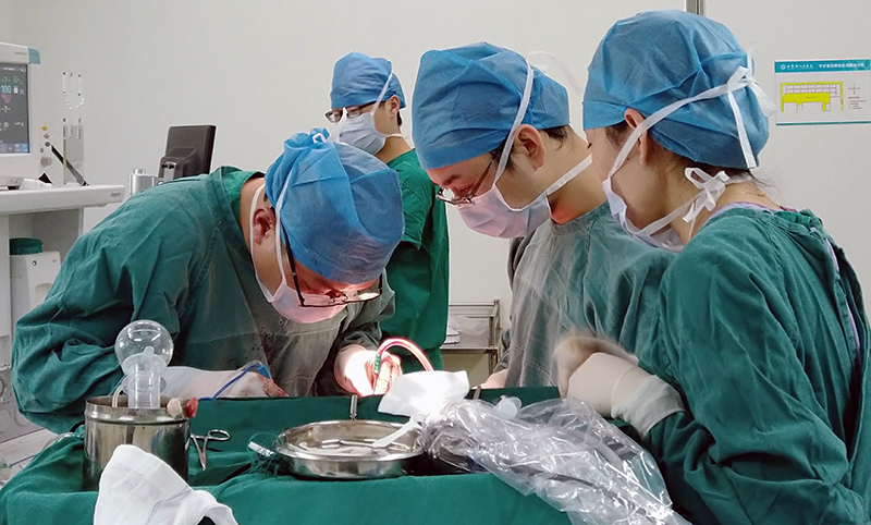 脑外科神经内镜手术 2.jpg