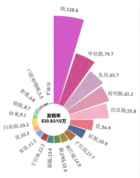 发病率1.png 发病率1.png